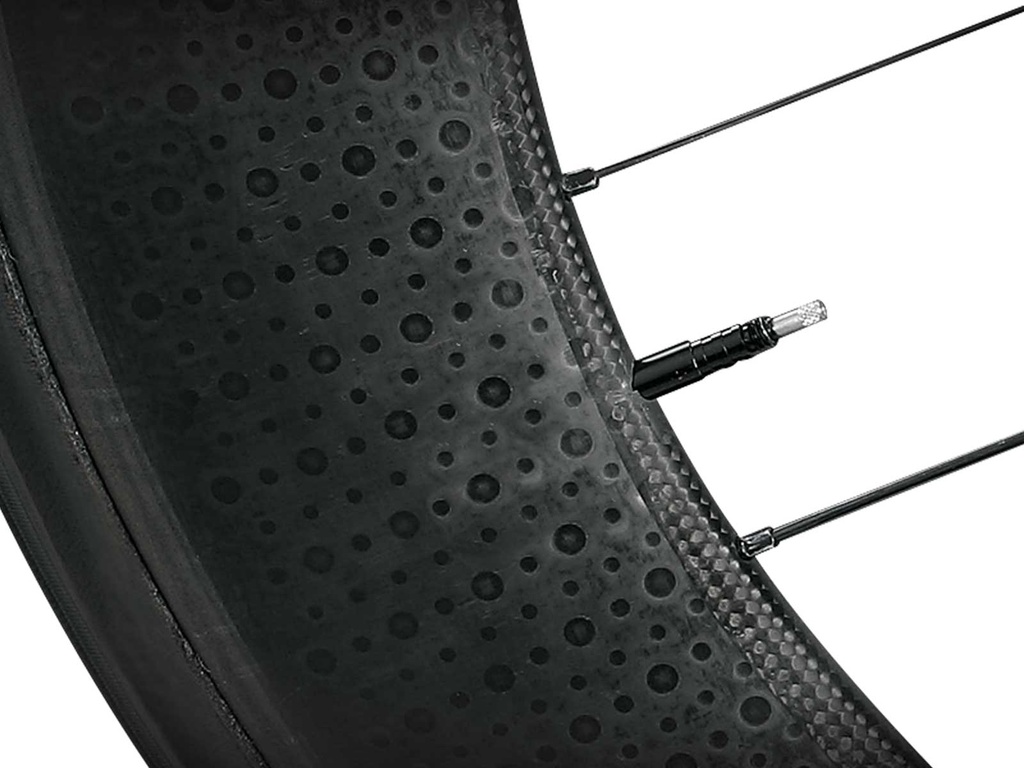 Extension TOPEAK v/francesa  XL TFV-02