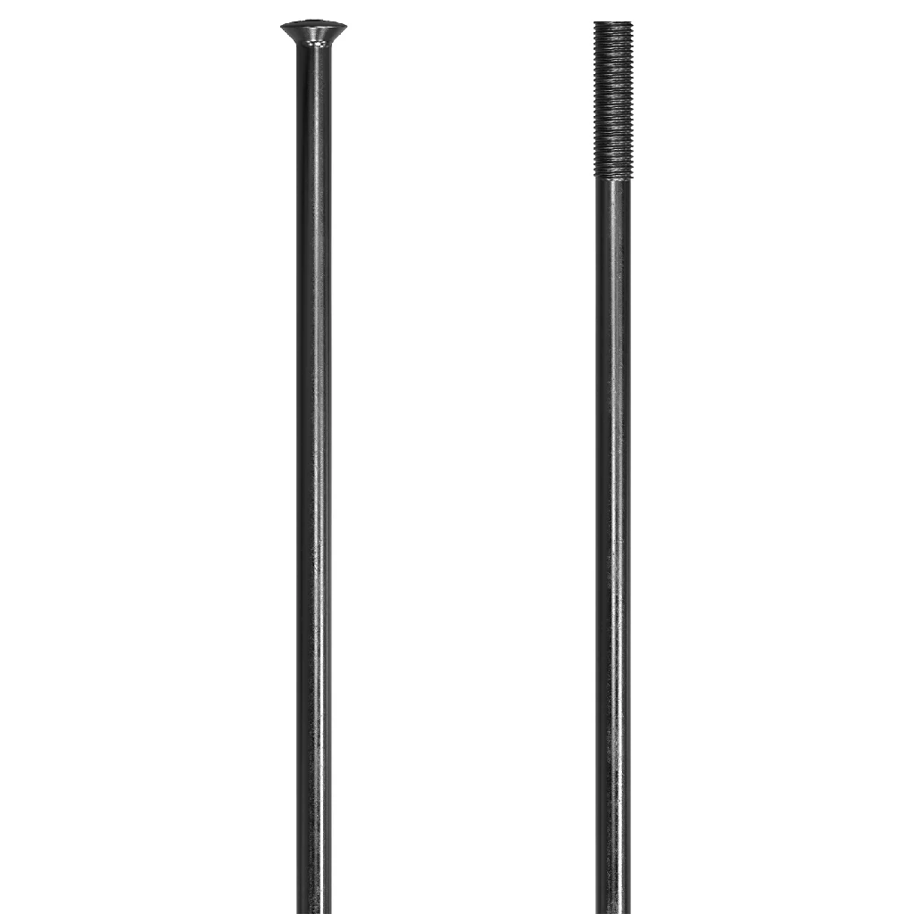 Radios DT SWISS CHAMPION 298mm SP S recto