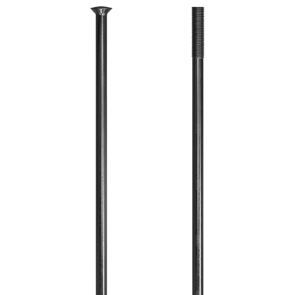 Radio DT SWISS CHAMPION 252mm recto  black 