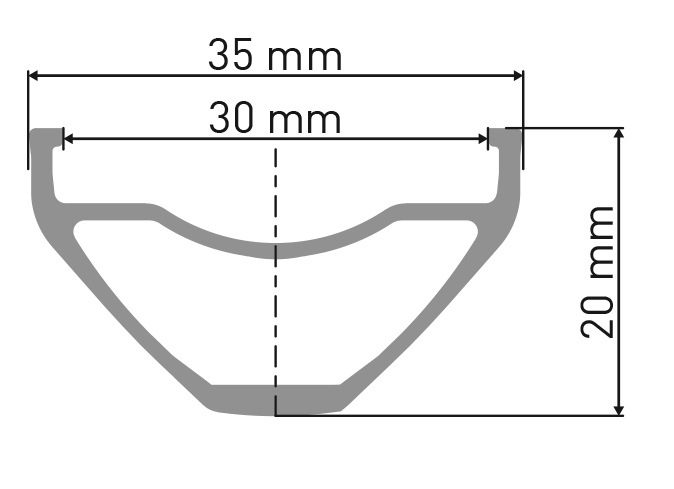 Rueda DT SWISS 29 F 1900 CLASSIC 148x12mm Shimano Micro spline - Ratchet LN18 posterior