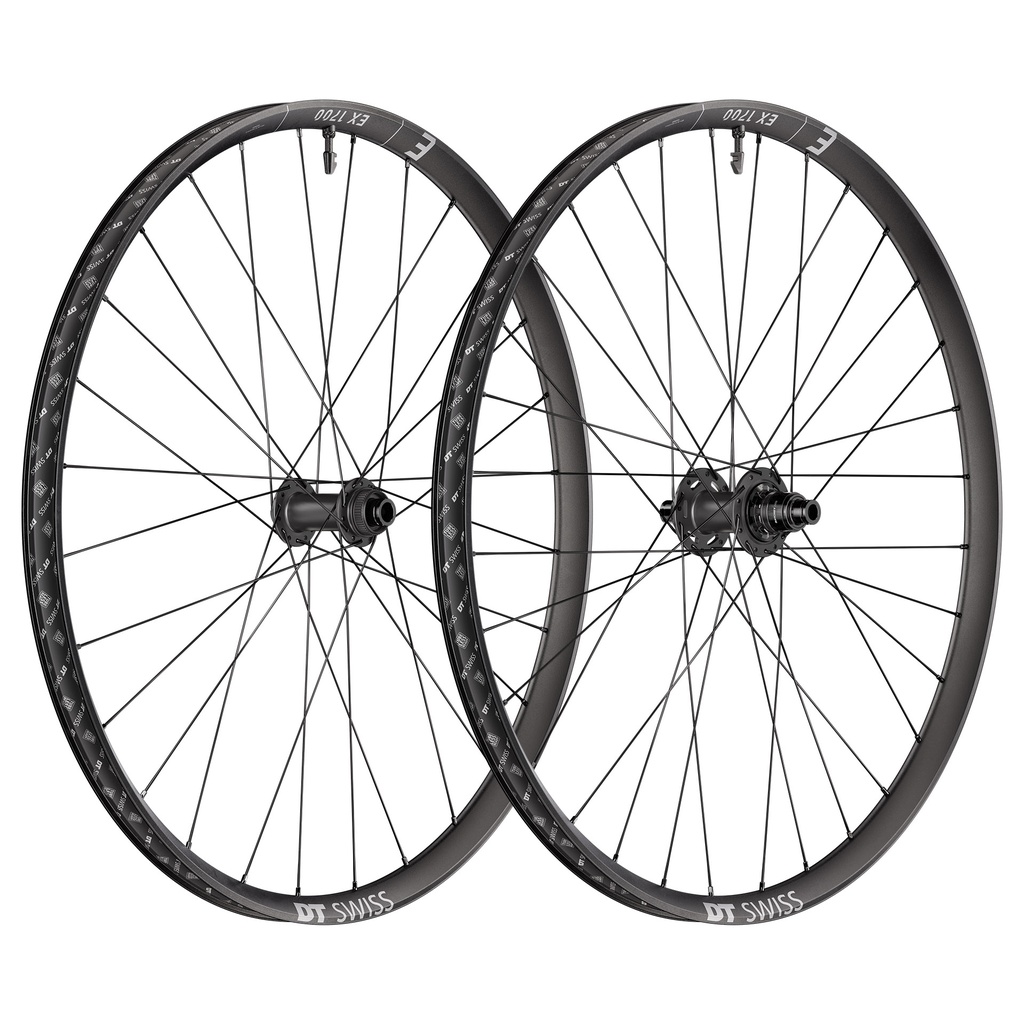 Rueda DT SWISS 29 EX 1700 SPLINE center lock 148x12mm Shimano Micro spline - Ratchet 36SL posterior