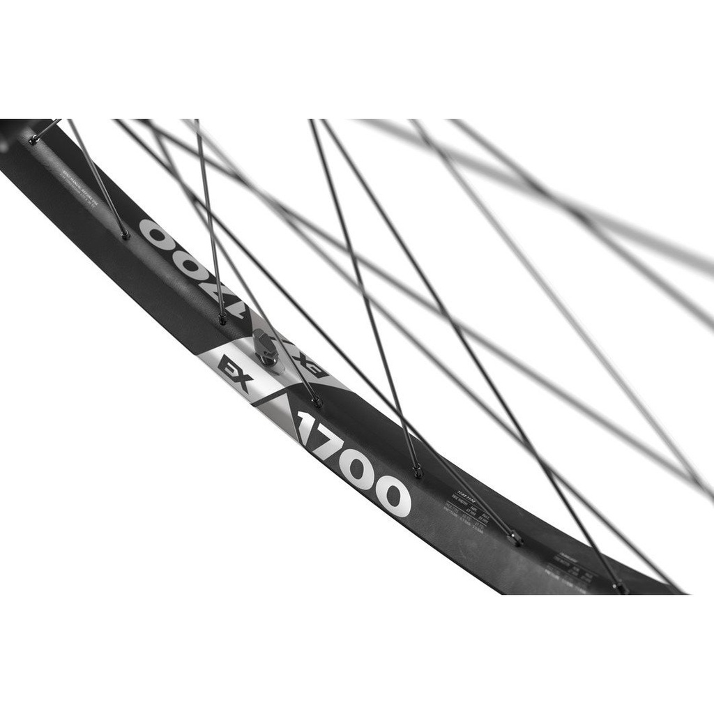 Rueda DT SWISS 29 EX 1700 SPLINE center lock 148x12mm SRAM XD - Ratchet 36SL posterior