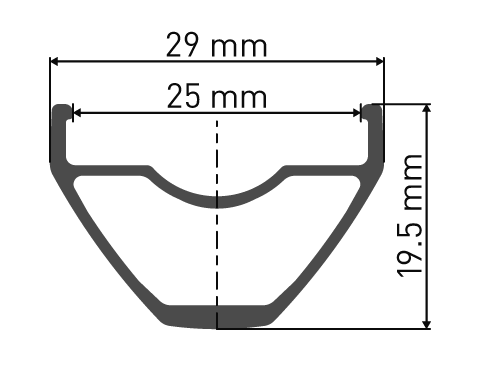 Rueda DT SWISS 29 X 1900 SPLINE center lock 142x12mm Shimano HG - Ratchet LN18 posterior
