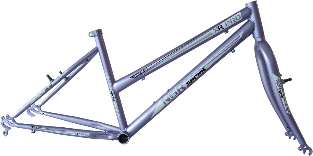 Cuadro NSRsprint 24 MTB Dama hierro Purpura CN