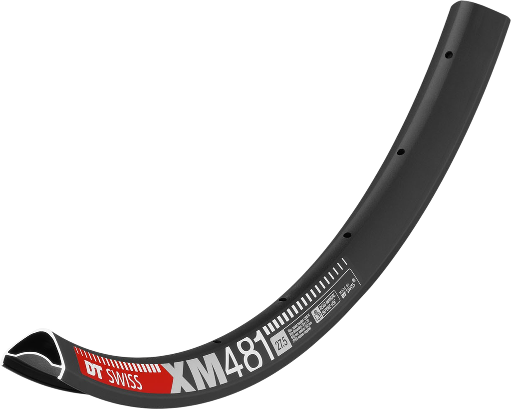 Aro DT SWISS XM481 29 alum 30mm 32H disc p/tubeles black