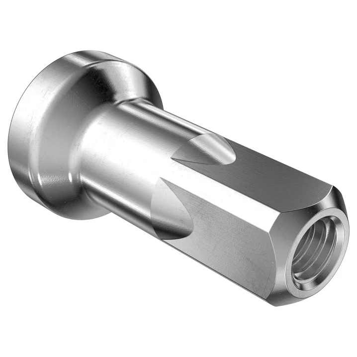 Cabeza de radio DT SWISS Hidden alum 2x12mm Pro lock silver 