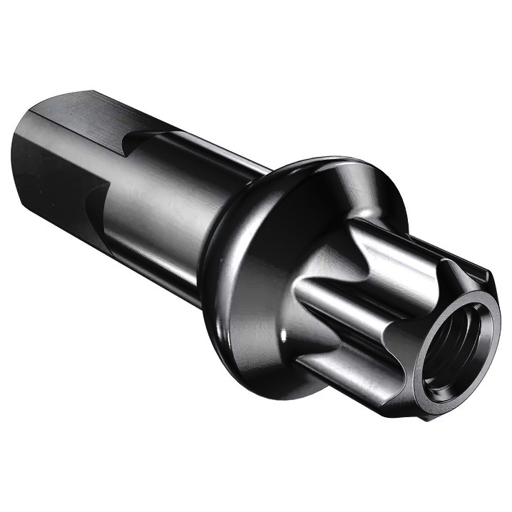 Cabeza de Radio DT SWISS Squorx Pro Head alum cuadrado 2x15mm black
