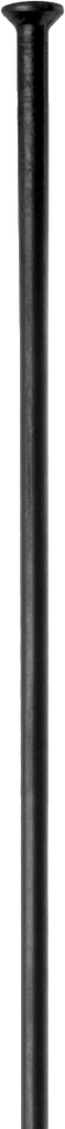 Radio DT SWISS CHAMPION 252mm recto  black 