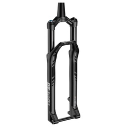 [BC-SUS020] Suspension DT SWISS F232 29" 1 1/8-1.5 120mm - 110X15mm 