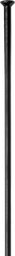 [BC-RAD123] Radio DT SWISS CHAMPION 252mm recto  black 
