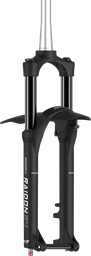 [BP-SUS060] Suspension SUNTOUR 29 SF25 RAIDON34 BOOST EQ-R-2CR DS 15AH4-110 CTS 120mm c/guardafango black