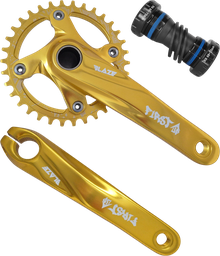 [BC-CAT189] Catalina F1RST UP monoplato integrada 34T 170mm gold caja