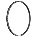 Aro DT SWISS 29 F 572 alum 30mm 32H p/tubeless disc black
