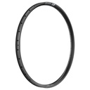 Aro DT SWISS EXC 330 29X30 28h black carbon Hookless tubeless