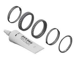 Kit DT SWISS servicio Ratchet 90T DEG