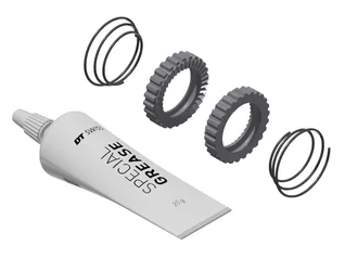 Ratchet DT SWISS 36T SL kit