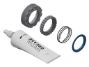 Kit DT SWISS Ratchet 42t EXP OS kit servicio  