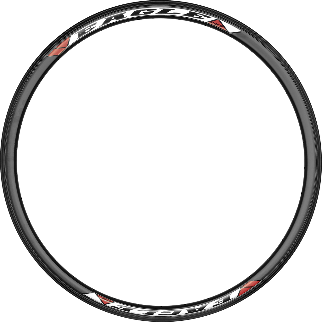 Aro EAGLE-F 29 alum d/camara 18mm 36H disc black LIOX10