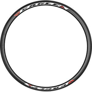 Aro EAGLE-F 29 alum d/camara 18mm 36H disc black