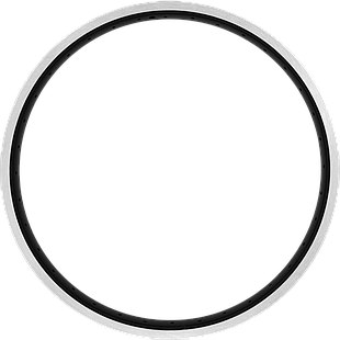 Aro EAGLE-RX 20 alum Sencillo 36H V-brake black