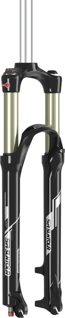 Suspension SUNTOUR 29 SF16 RAIDON-XC RLR DS TS-100 1 1/8 b/timon  black normal