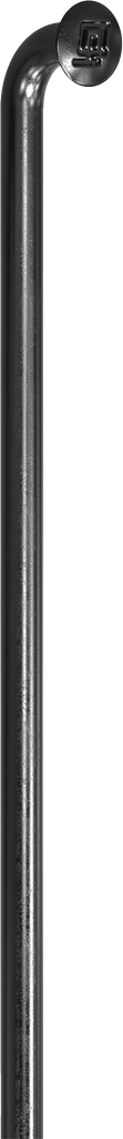 Radios DT SWISS CHAMPION 262mm S tipo J black 
