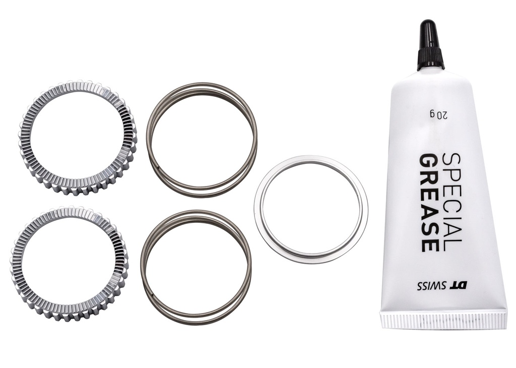 Kit DT SWISS servicio Ratchet 90T DEG