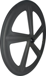 [BP-RUE202] Rueda EKAY carbon EKW13-5 Spoke  Front  Clincher ASPAS