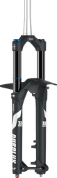 [BP-SUS110] Suspension SUNTOUR 29 SF25 DUROLUX38 EVO-BOOST-EQ-RC+-PCS DS15AH4 CTS 180mm black